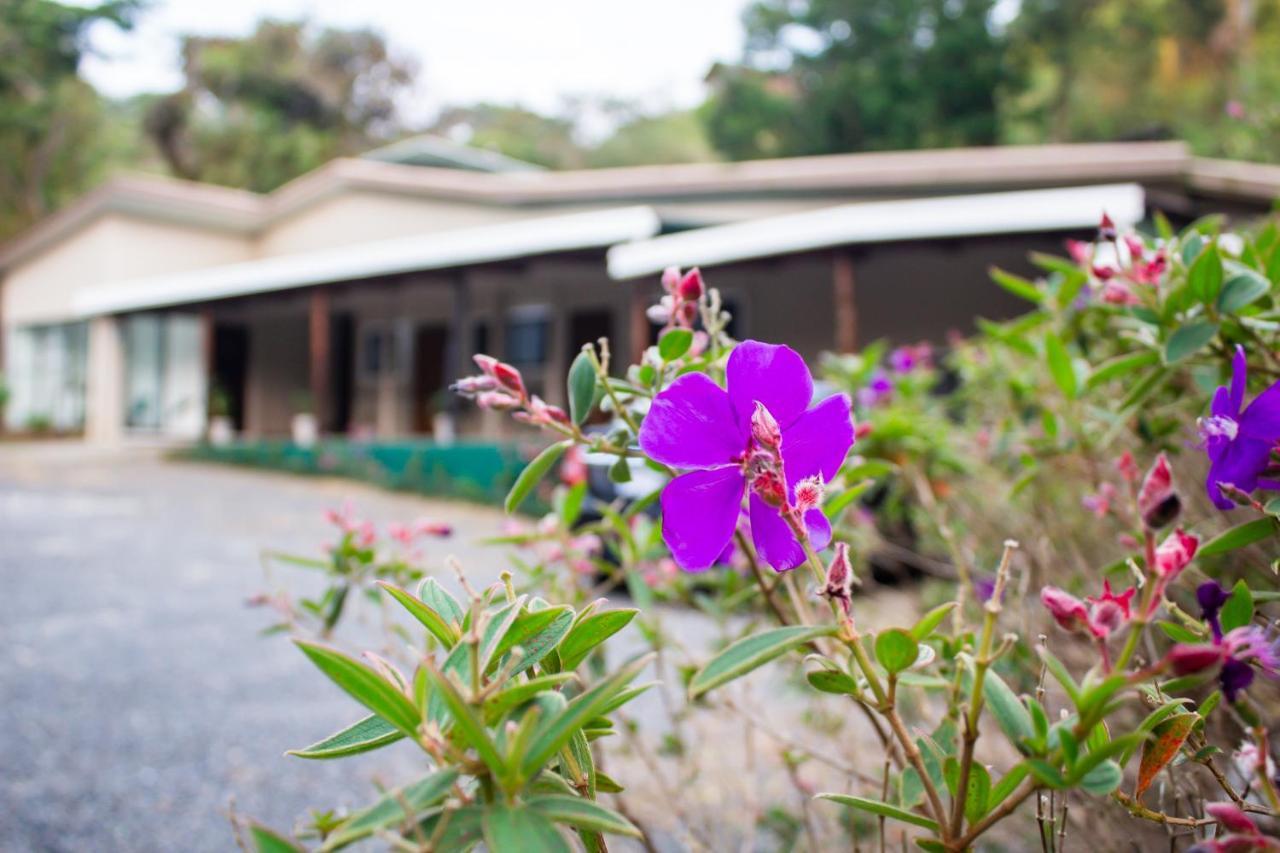 Natuera Hotel Monteverde 外观 照片